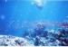 2007-07-31_18-22-44_0--550x.jpg